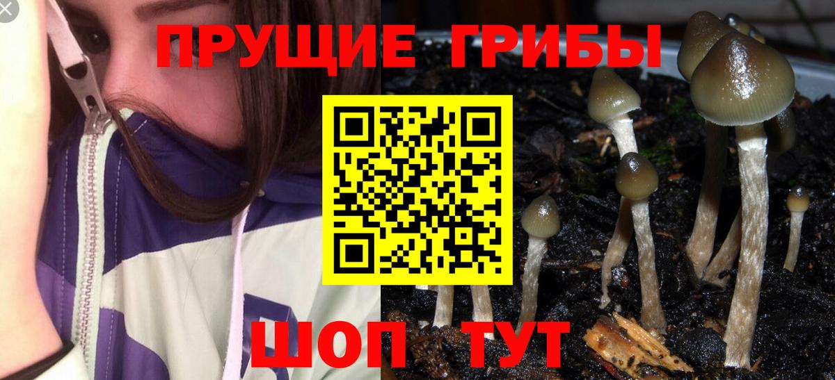 Галлюциногенные грибы мухоморы Киржач
