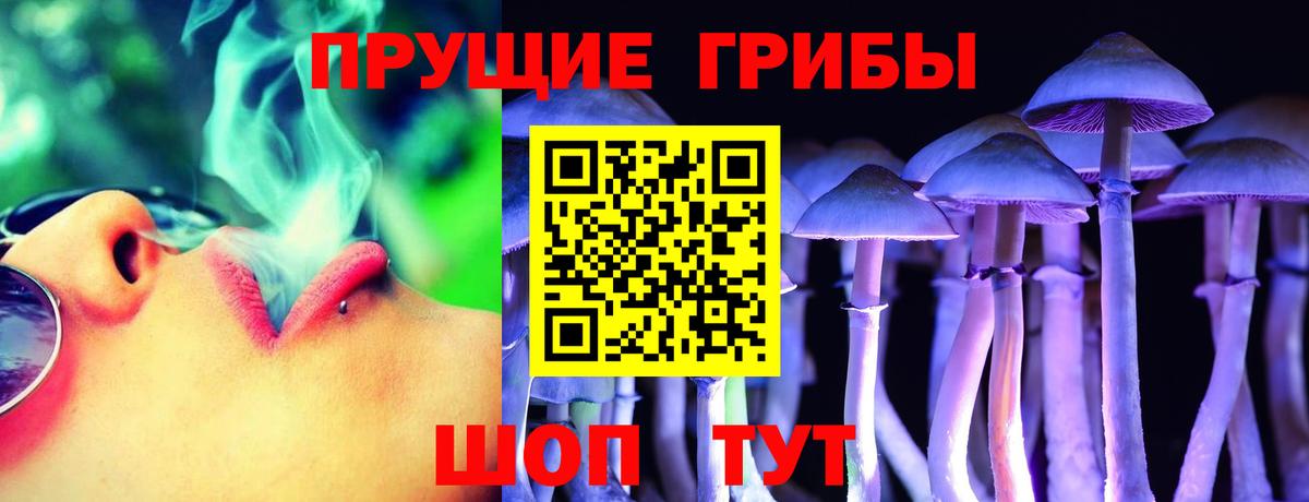 Киржач  Псилоцибиновые грибы Psilocybine cubensis  Вход с VPN  Галлюциногенные грибы Psilocybine cubensis 